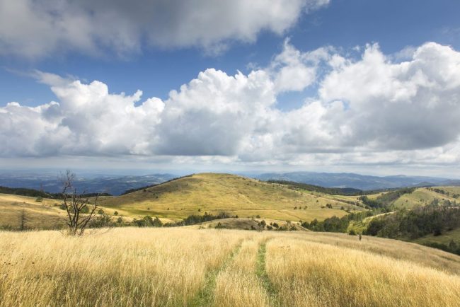 Prodaja apartmana Divcibare Devana