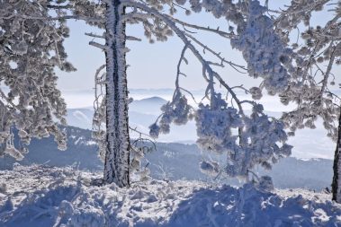 Prodaja apartmana Divcibare Devana