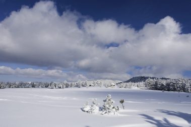 Prodaja apartmana Divcibare Devana