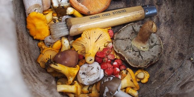 apspectus prodaja apartmana